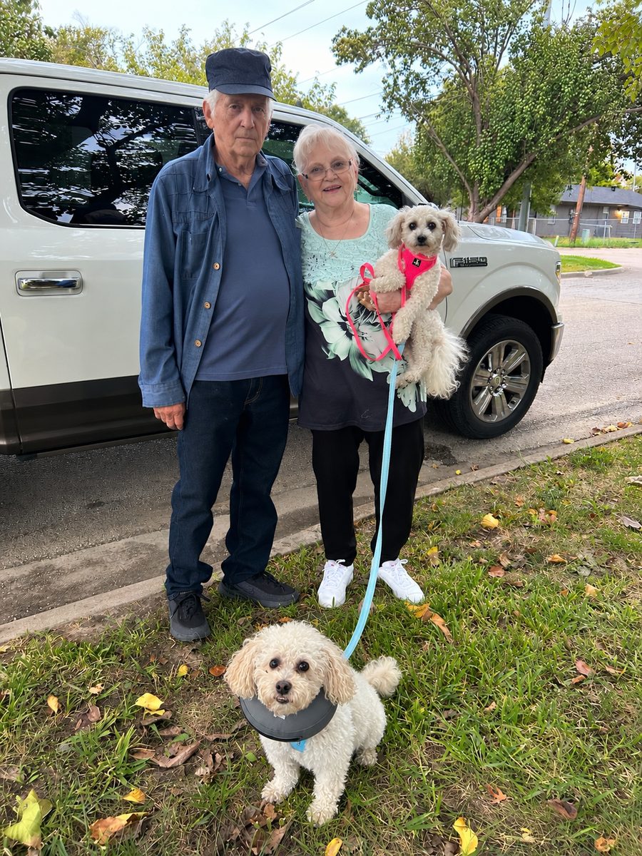 Indy and Lotus, now Fifi and Pierre, with their new family