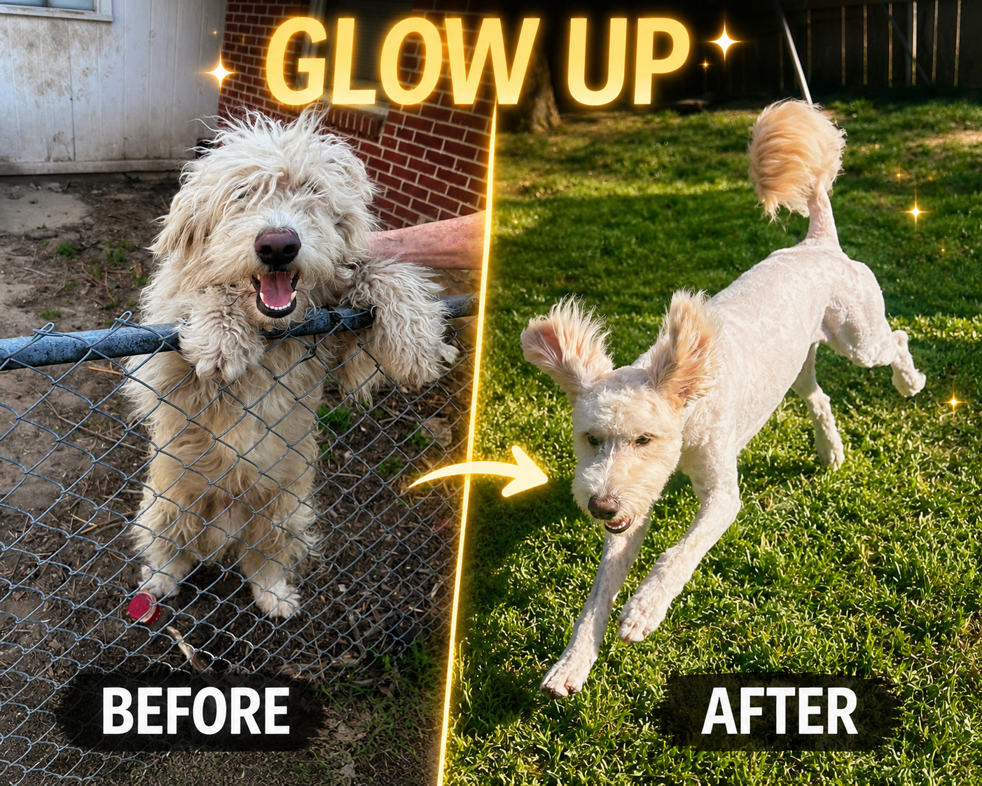Timber's before and after glow up